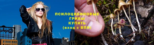 СК Алексеевка