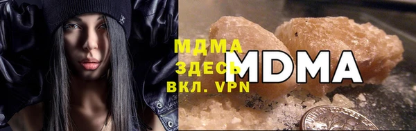 индика Алексин