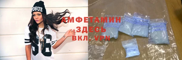 индика Алексин