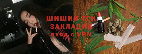 индика Алексин